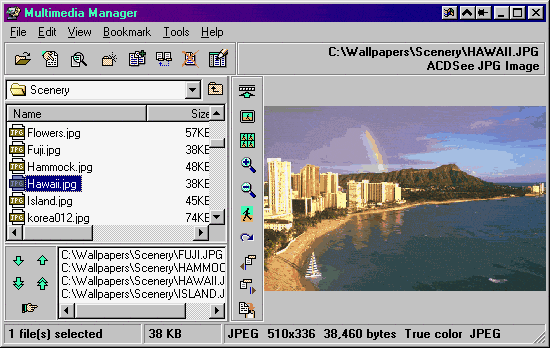 Screenshot of Multimedia Manager 2.5a